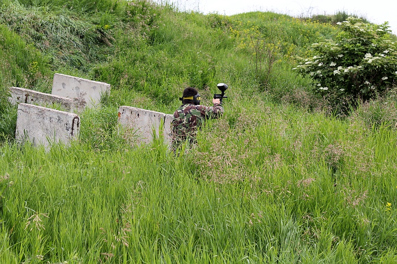 Ten krzew wrogo na mnie patrzy ... autor: ZST Kolno, LO Kolno, LP Kolno 