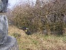 ZST Kolno, LO Kolno, LP Kolno autor: LO Kolno, ZST Kolno, LP Kolno